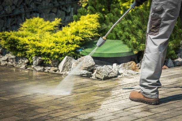 Best Sidewalk and Walkway Pressure Cleaning in Lacoste, TX